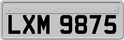 LXM9875