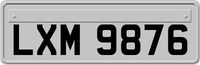 LXM9876