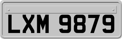 LXM9879