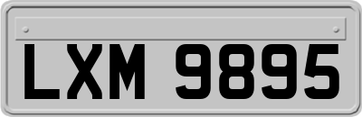 LXM9895