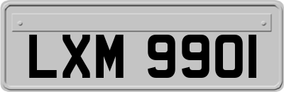LXM9901