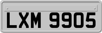 LXM9905