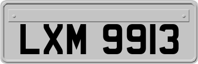 LXM9913