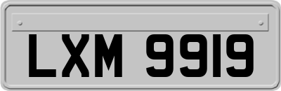 LXM9919