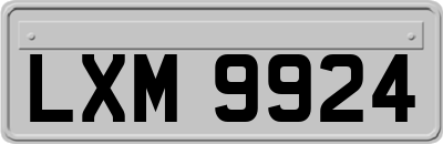 LXM9924