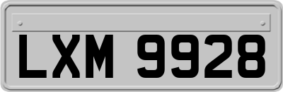 LXM9928