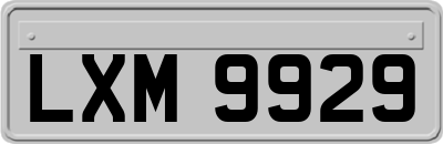LXM9929