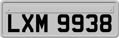 LXM9938