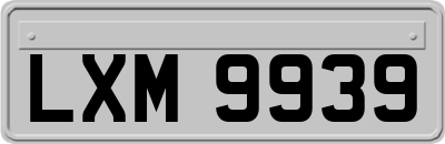 LXM9939