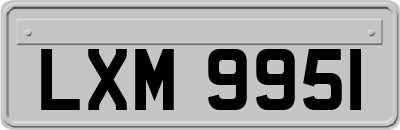 LXM9951