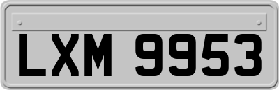 LXM9953