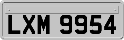 LXM9954