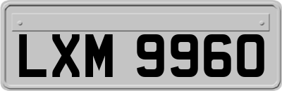 LXM9960