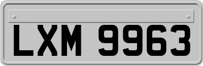 LXM9963