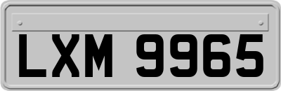 LXM9965