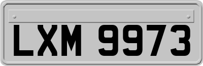 LXM9973