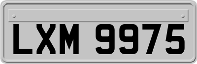 LXM9975