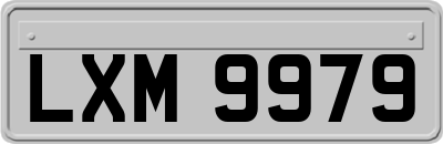LXM9979