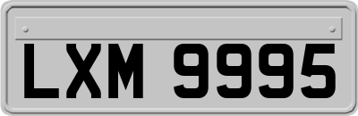 LXM9995
