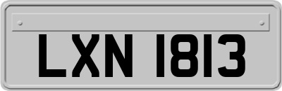 LXN1813