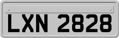 LXN2828