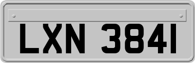 LXN3841