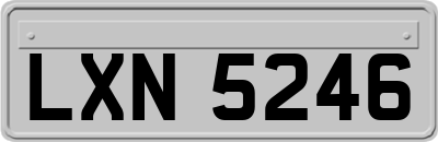 LXN5246