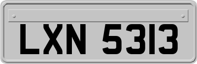 LXN5313