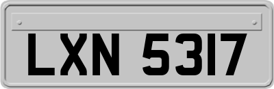 LXN5317