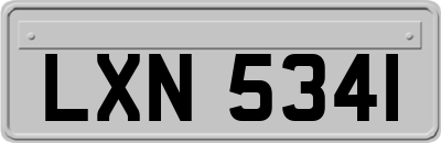 LXN5341