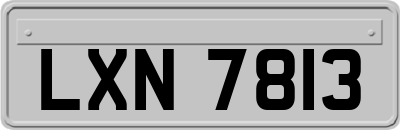 LXN7813