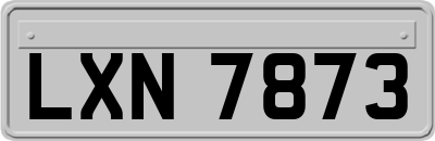 LXN7873