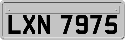 LXN7975