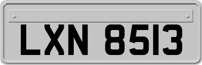 LXN8513