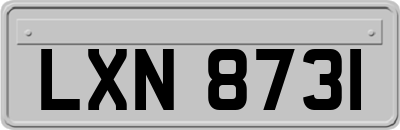 LXN8731