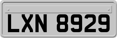 LXN8929
