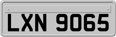 LXN9065