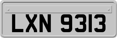 LXN9313