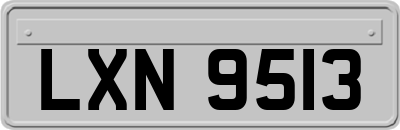 LXN9513