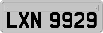 LXN9929