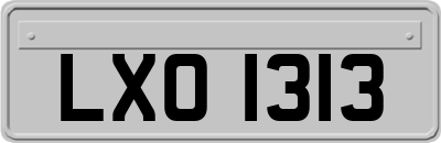 LXO1313