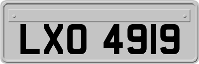 LXO4919