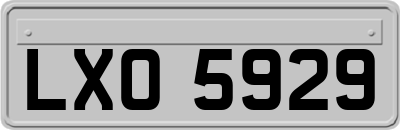 LXO5929