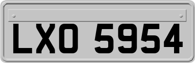 LXO5954