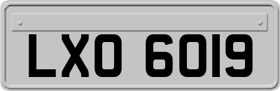 LXO6019