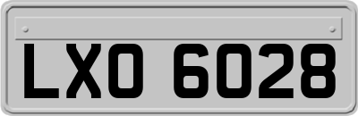 LXO6028
