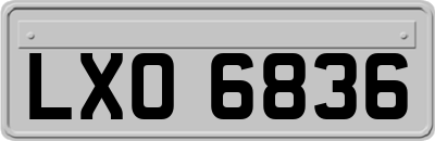 LXO6836