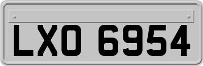 LXO6954