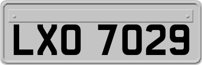 LXO7029