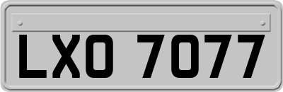 LXO7077